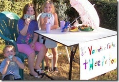 lemonade-stand