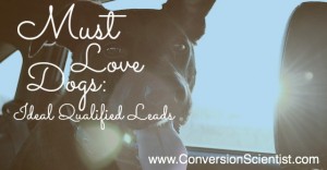 Ideal Qualified Leads Feature Images