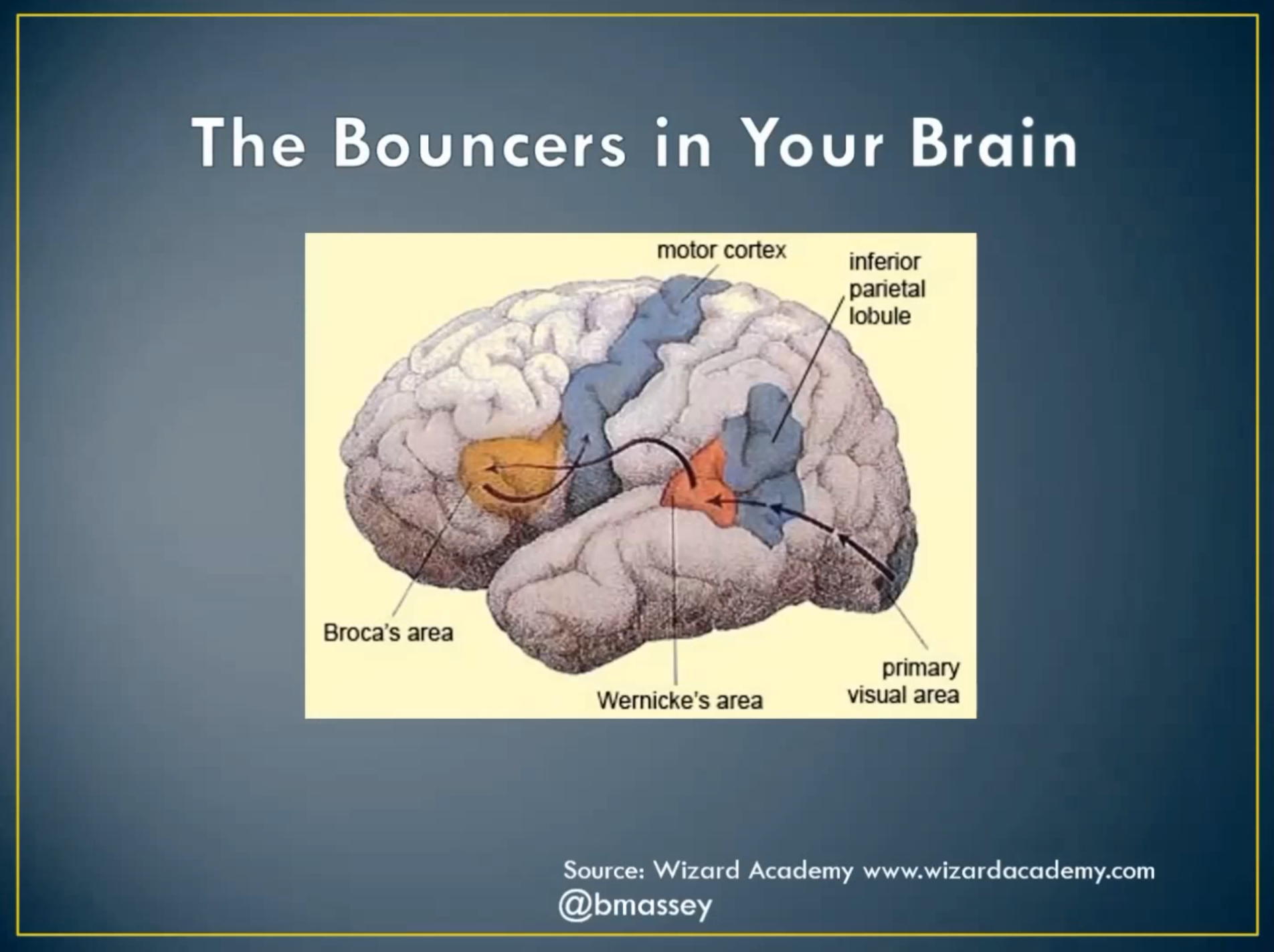 Bouncers In Your Brain